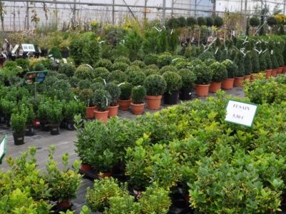 Centre jardin à Québec : Plantes vertes & produits horticoles